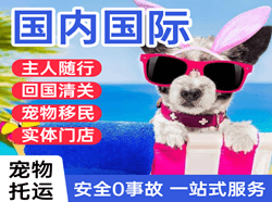 北戴河机场邮寄国际宠物托运 【国